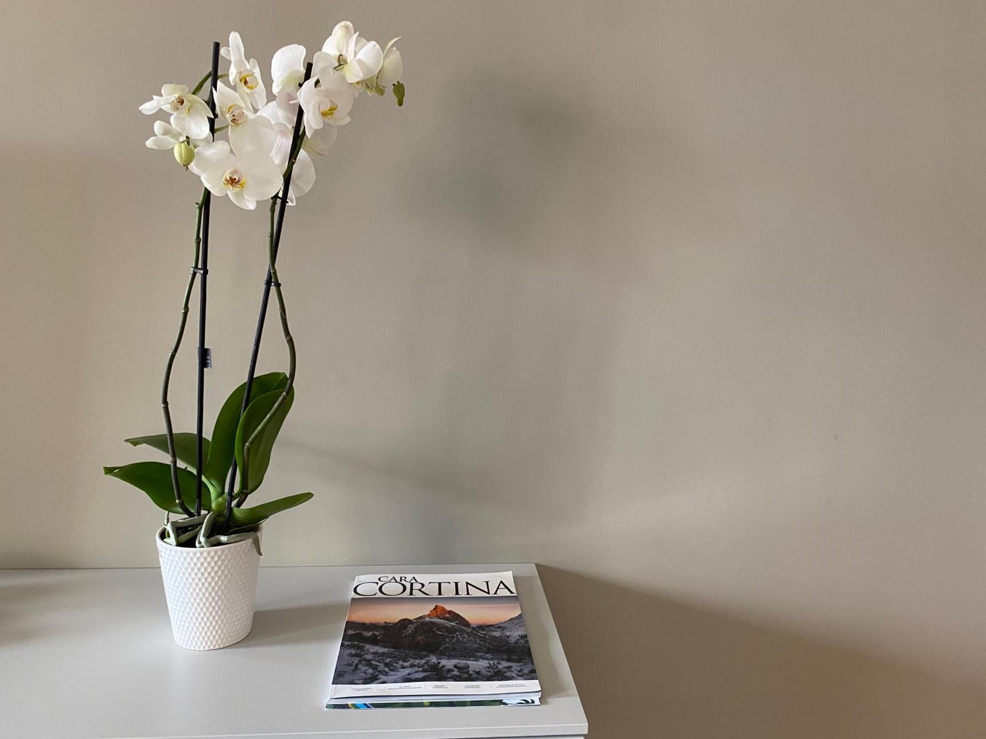 Appartamento Julie'S House Lecce City Center Esterno foto